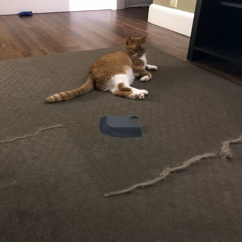 FurSweep Pro – Car Interior Hair Removal Brush & Cleaning Scraper Tool - Sunflower farm life