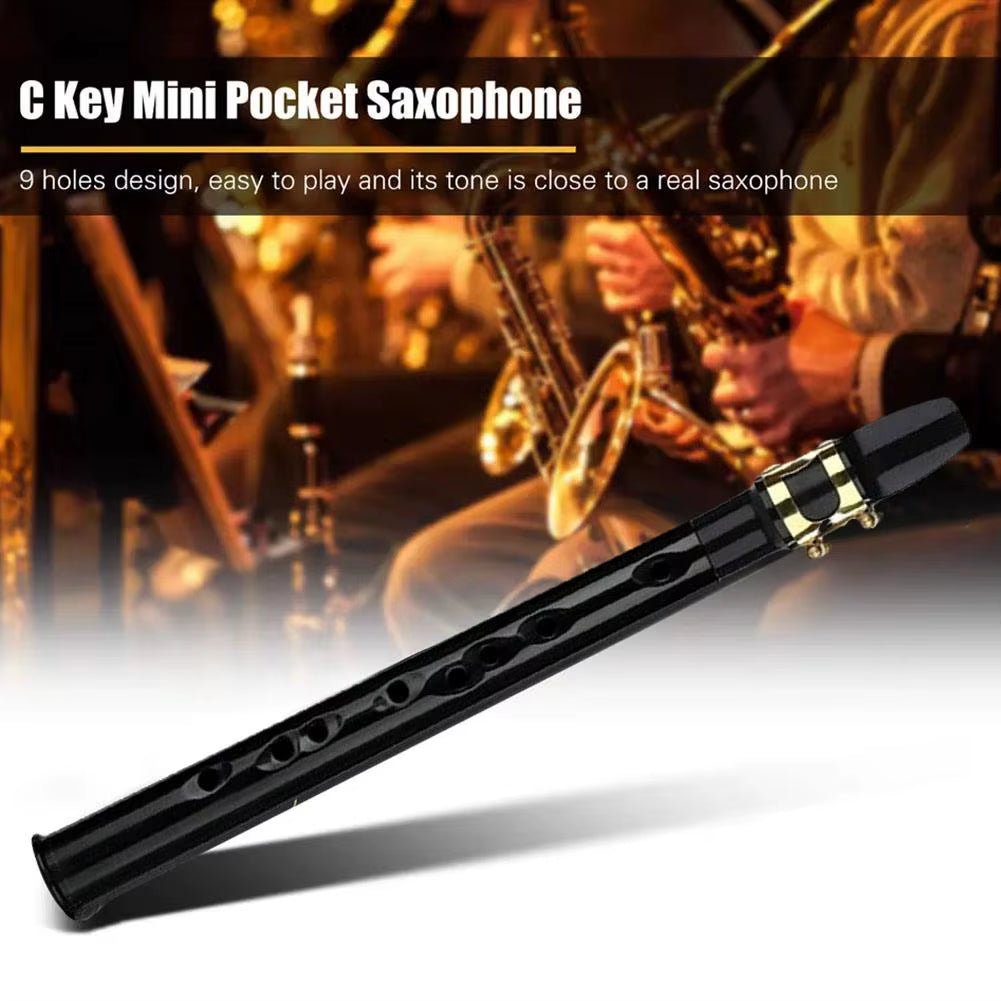 PocketSax Mini – Portable C Key Saxophone for Beginners & Pros with Carrying Bag - Sunflower farm life