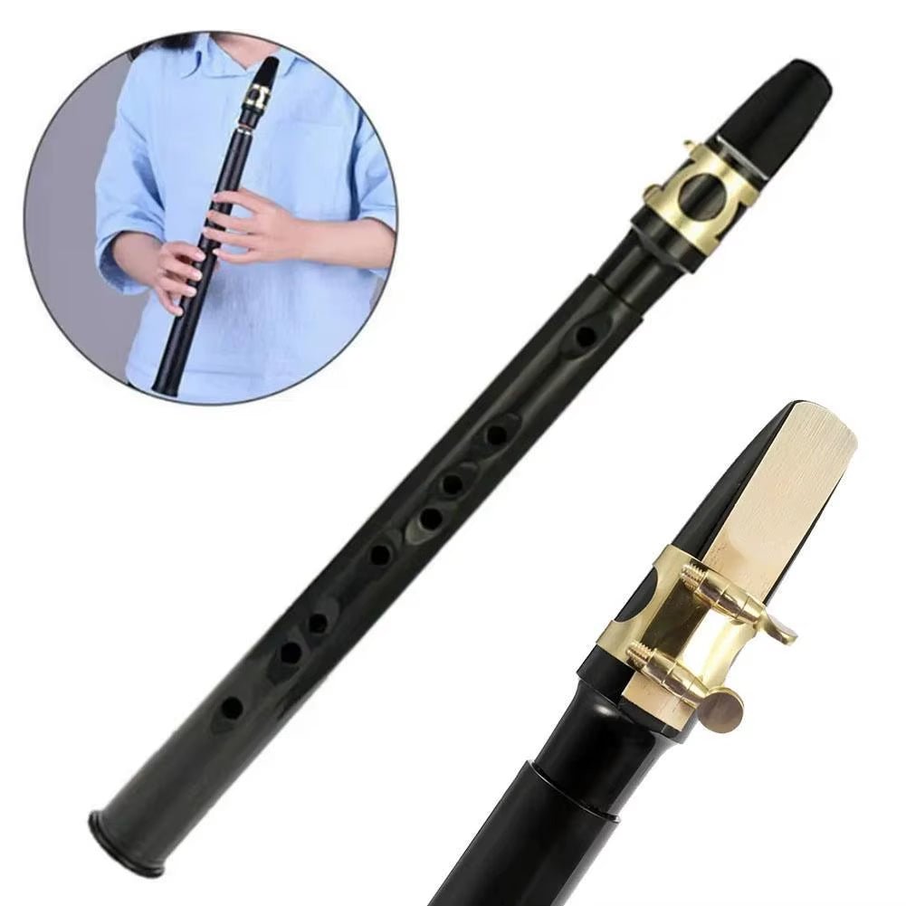 PocketSax Mini – Portable C Key Saxophone for Beginners & Pros with Carrying Bag - Sunflower farm life
