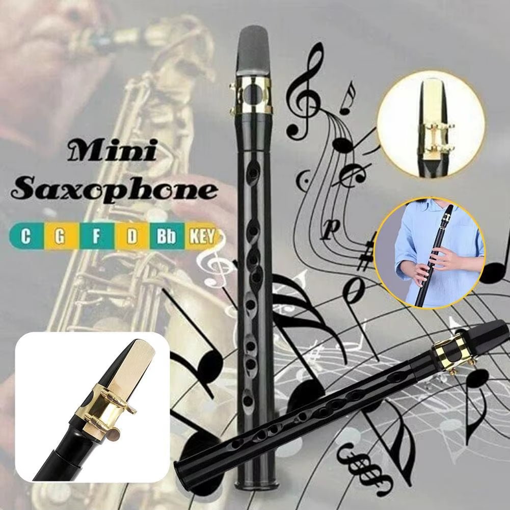 PocketSax Mini – Portable C Key Saxophone for Beginners & Pros with Carrying Bag - Sunflower farm life
